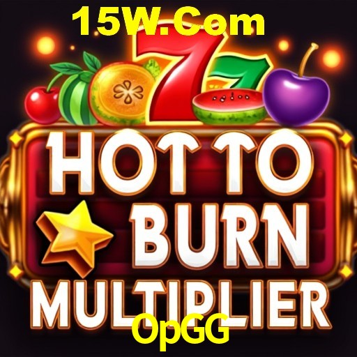 Platform Technology OpGG